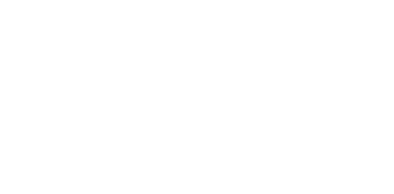 VIP Hand Car Wash